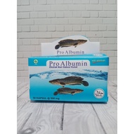 Pro albumin snakehead fish oil
