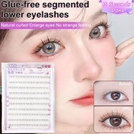 【Glue-Free/Transparent Base/Undereye Enhancer】Pseudo Vegan Flame Lashes Natural-Looking Cluster Fals