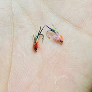 Ank bug, ditch fishing bug bait, stream lure, ditch fish lure