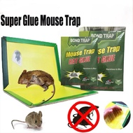 MOUSE TRAP RAT GLUE Gam tikus pembunuh tikus serangga yang lain tangkap tikus pembunuh tikus gam cic