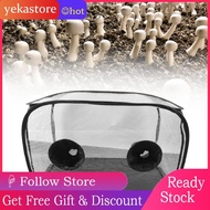yekastore Mushroom Growing Still Box Portable Foldable Simple Operation Grow Tent Kit 2 Vents PVC fo