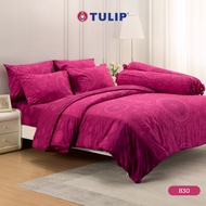 TULIP Cotton Mix พิมพ์ลาย 830 ชุดผ้าปูที่นอน ผ้าห่ม ผ้านวม พิมพ์ลายกราฟิกสวยงาม เนื้อผ้าหนาแน่น