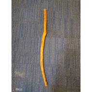 Tongkat Raja Kayu Asli Hutan