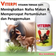 VITERPI / Vitamin ternak sapi terbaik / Suplemen penggemukan sapi / VITERPI vitamin sapi / Vitamin u
