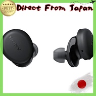 Sony WF-XB700 Wireless Earbuds: Deep Bass, Up to 9 Hours Playtime, Built-in Microphone, 2020 Model, 