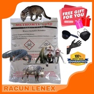 Lenex/Lennex Ready Stock + Freegift