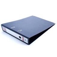 LION FILE A3 OBLONG ARCH FILE