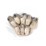 [Frozen] Oyster Meat (Pack)