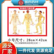 Human Body Meridian Acupuncture Map Moxibustion Book Description Map Double-Sided Printing Press Acu