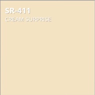 ๑┅SR 411 CREAM SURPRISE DAVIES SUN AND RAIN ELASTOMERIC PAINT 4LITERS