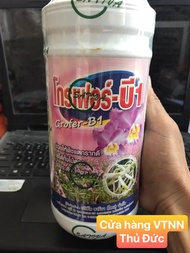 Vitamin B1 Thái Grofer 1 lít - 100ml