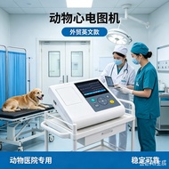 Animal Hospital Dedicated Animal ECG Machine Foreign Trade English Style Stable Reliable Pet Surgery