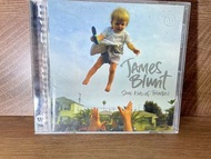 James Blunt / Some Kind Of Trouble