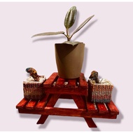 WOODEN RACK FOR PLANT(Palochina wood)