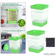 [Haluoo] Seed Kits with Lid Germinate Seeds Indoors for Broccoli Grass Wheat