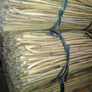 Forest rattan/stick rattan/super long rattan wood 1mtr