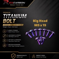 Grade 5 GR5 M5x15 Bighead Titanium Bolts – Anti-Rust Motorcycle Racing Bolts