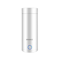 Fiza Mall Electronic Portable Kettle Cup 400ml Vacuum Travel Flask Thermal Cup 400ml