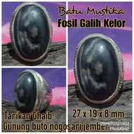 batu m*s tlka fosil galih kelor no bacan tapak jalak
