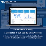 Unlimited SSD Web Hosting | eCommerce-Ready | OpenCart Ready
