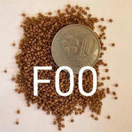 PALLET SEAMASTER F00 (FLOATING TYPE) 🇹🇭