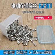 Electric Vehicle Fuse Motorcycle Fuse Glass Fuse 6/30A Fuse Fuse Link Fuse Device