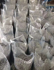 Roller Sepeda Mudball/steelball/gotri 6.35mm isi 1000G / Pelor sepeda isi 1000G