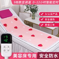 Single Electric Blanket Facial Bed Electric Blanket Special Beauty Salon Massage Massage Couch Small Size Sofa Electric Blanket