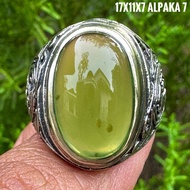 Agate Ring Serpentinenatural (Natural Original)