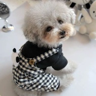 Schnery Small Dog Poodle Pet Bixie Teddy