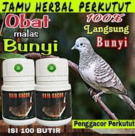 PROMO!!! RAJA GACOR PREMIUM JAMU 100 BUTIR PIL PENGGACOR KUTUT penggacor perkutut puter tekukur supl