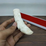 once pipa padutan tulang iga duyung ukir asi original Inz67