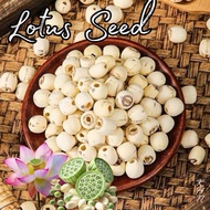 Dried Lotus Seed 莲子 | Premium Lotus Seeds | Natural Dried Lotus Seed | Healthy Snack | Soup & Desser