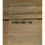 Plastic clip handle plastic clothes/ plastic laundry shoe/ size 30cm x 38cm + 7cm (100 sheets)