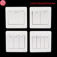 PUINKK Wall Switch 1/2/3/4 Gang 1Way Button Wall Light Switch On / Off Push Button TH