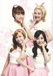 【代購】少女時代 SNSD 2013 世巡 Girls &amp; Peace 演唱會 場刊 韓國SM 官方周邊