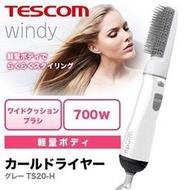 日本 TESCOM 電捲吹風機 TS20 負離子整髮器 吹風機 梳子 直捲髮 整髮吹風機 造型 髮廊 【哈日酷】