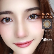 ⚡Montralens⚡Xoxo Gray Brown 💥มนตราเลนส์💥คอนแทคเลนส์สายตา💥