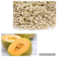 1kg Melon Seeds (瓜子) / Benih Tembikai Susu