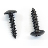 Self- Tapping Screw T4x16