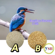 Bird Feed White Millet / Makanan Burung Sambau A/B 1KG Repack