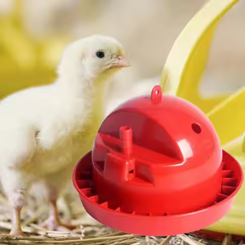 Chickens Water Dispensers Automatic Water Feeder For Chicks Food Bowls Automatic Water Feeding Poult