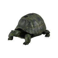$20 生物圖鑑 動物大圖鑑 稀有綠龜 可動扭蛋