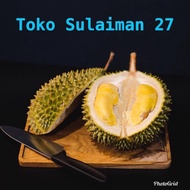 Ready Gan Durian Duren Sultan Musang King Utuh 100% Fresh Orinal Malaysia /Kg Ready Gan