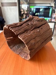 大樹窿沉木 （紫柚木）