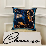 Hermes cushion pillow