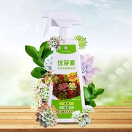 (SG Ready Stock) Succulent Rooting Growth Spray | Cactus Rooting Spray | Cacti Succulent Fertilizer 