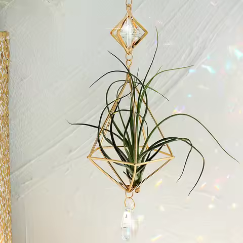 Gold Hanging Air Plant Holder Tillandsia Air Plants Hanger Geometric Himmeli Air Fern Display Plante