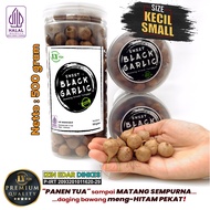 Bawang Hitam Tunggal Lanang 500 Gram Sweet Black Garlic LY Aja Ukuran Sedang Besar Jumbo Super Premi