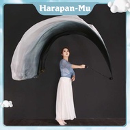 Silk Dance Stick / Dance Accessories / Silk Veil With Poi Ball Belly Dance Ball